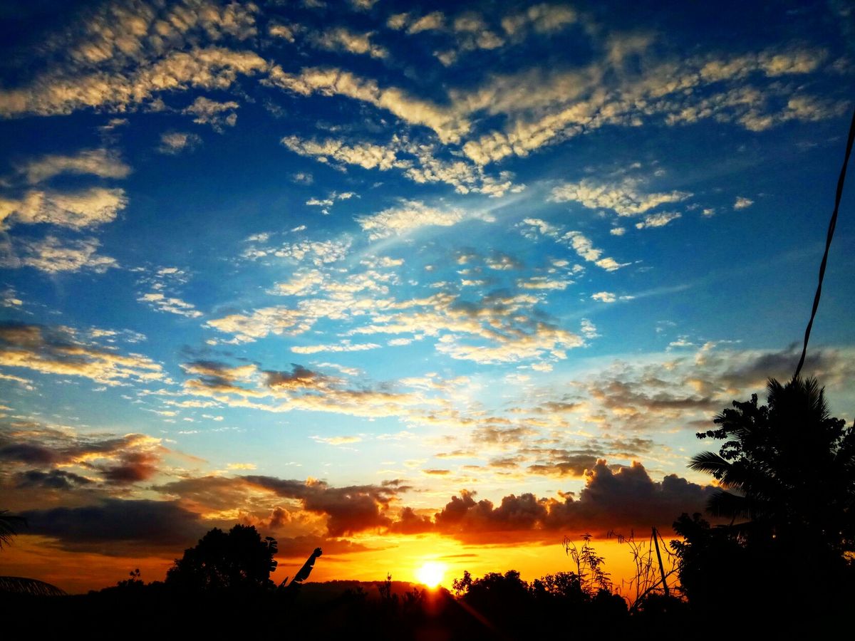 Matahari Pagi Disebut: Manfaat, Fenomena, dan Fakta Ilmiahnya