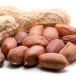 Harga Kacang Tanah 1 Kg Terbaru dan Faktor yang Mempengaruhinya