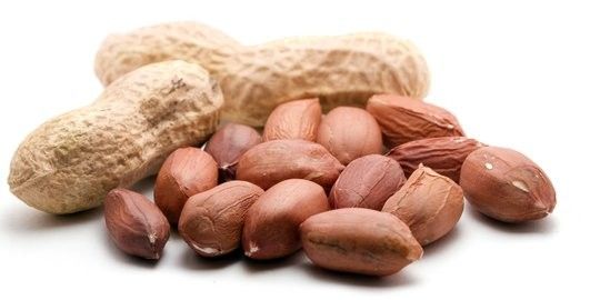 Harga Kacang Tanah 1 Kg Terbaru dan Faktor yang Mempengaruhinya