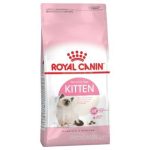 Royal Canin Kitten: Makanan Terbaik untuk Pertumbuhan Anak Kucing