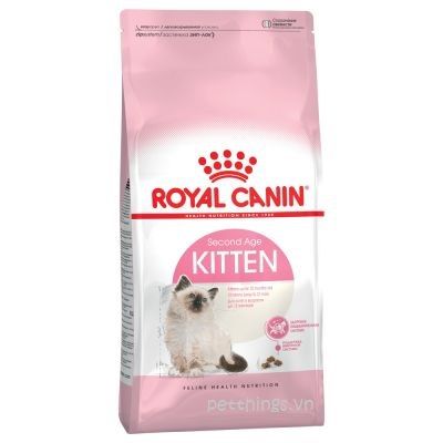 Royal Canin Kitten: Makanan Terbaik untuk Pertumbuhan Anak Kucing