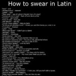 Bahasa Latin Keren: Arti, Contoh Kata, dan Inspirasi Quotes Penuh Makna