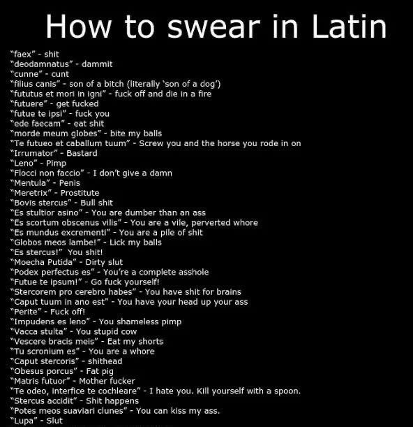 Bahasa Latin Keren: Arti, Contoh Kata, dan Inspirasi Quotes Penuh Makna